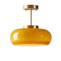 orange ceiling lamp shade