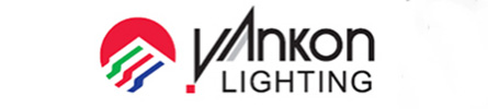 Yankon Lighting Group logo