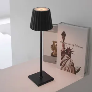 large battery operated lamps